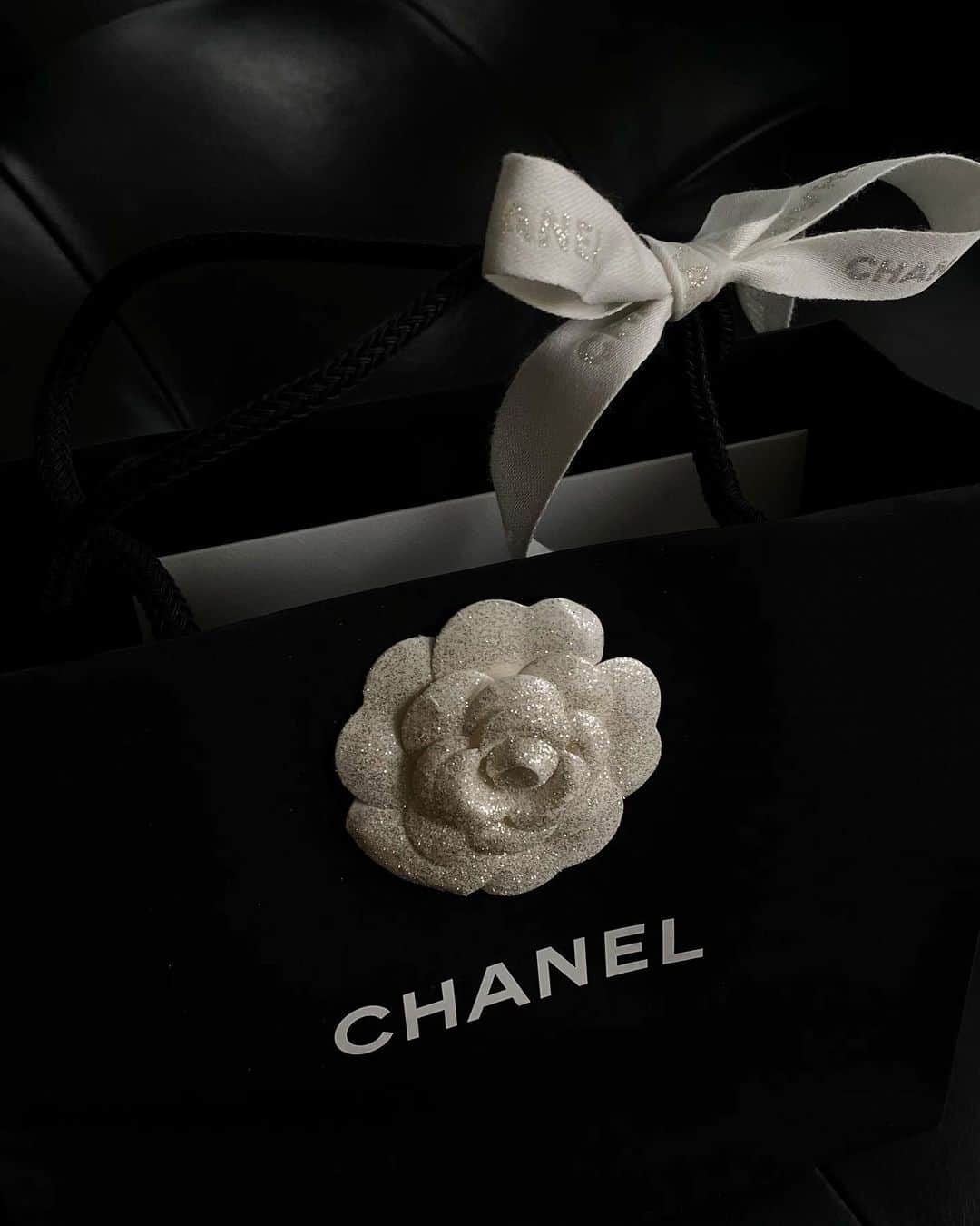 NATALIE LIAOさんのインスタグラム写真 - (NATALIE LIAOInstagram)「I love what I do and I never take any of it for granted. So incredibly thankful for all the gifts I receive. This one really made my entire week. Thank you @chanelofficial @welovecoco #giftfromchanel ❤️ (I just love the iconic Camellia flower too)」1月23日 2時35分 - fongminliao