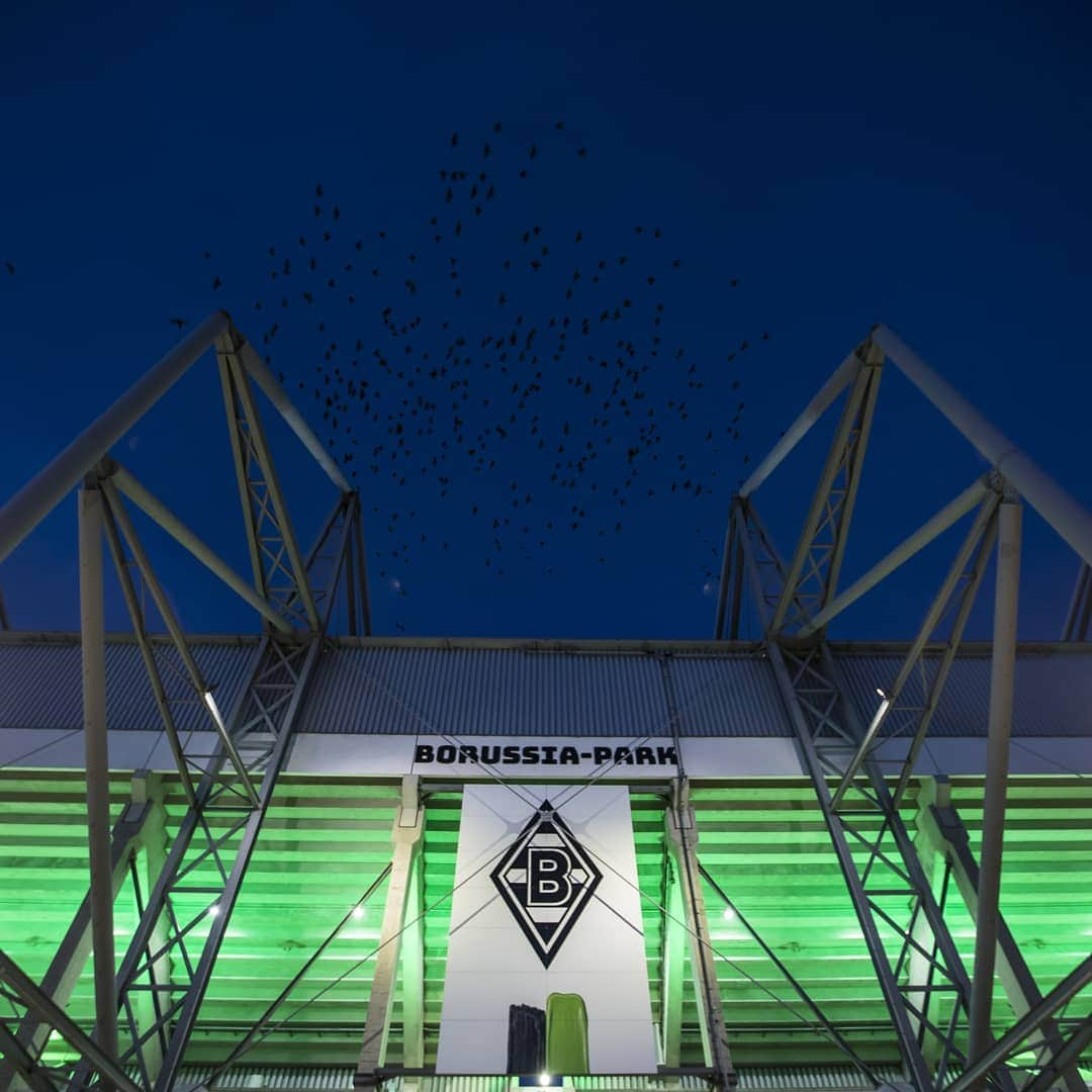 ボルシア・メンヒェングラートバッハさんのインスタグラム写真 - (ボルシア・メンヒェングラートバッハInstagram)「Der BORUSSIA-PARK gibt schon mal grünes Licht fürs Top-Spiel! 💚 #BMGBVB」1月23日 2時43分 - borussia