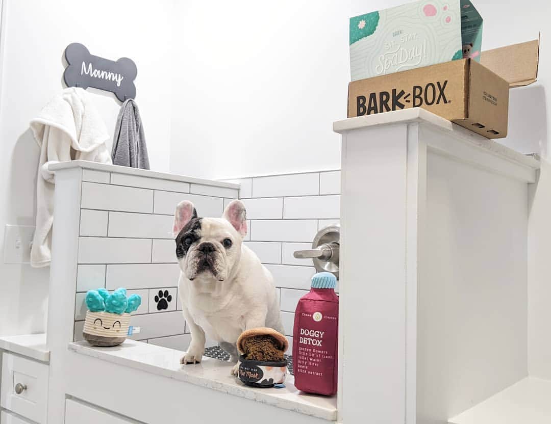 Manny The Frenchieのインスタグラム：「#ad Everyone can use an at home spa day, even us dogs! This doggy detox will definitely hit the spot! This months Bark box features pawsome items for the perfect at home spa day! @barkbox #BarkBox https://lnk2.io/wLQhkTF」
