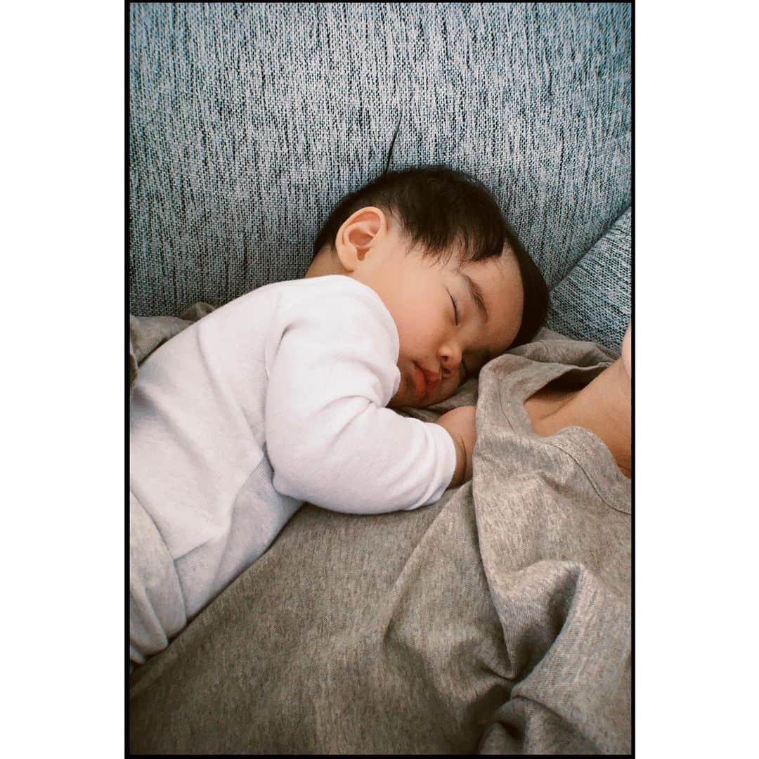 伊地知朋子さんのインスタグラム写真 - (伊地知朋子Instagram)「____ 胸の上で寝てくれる時の幸せったら🤤 同時にいつまで一緒に寝てくれるやろ？と切なくもなったりする💭」1月23日 13時19分 - tomoko_urbanbobby