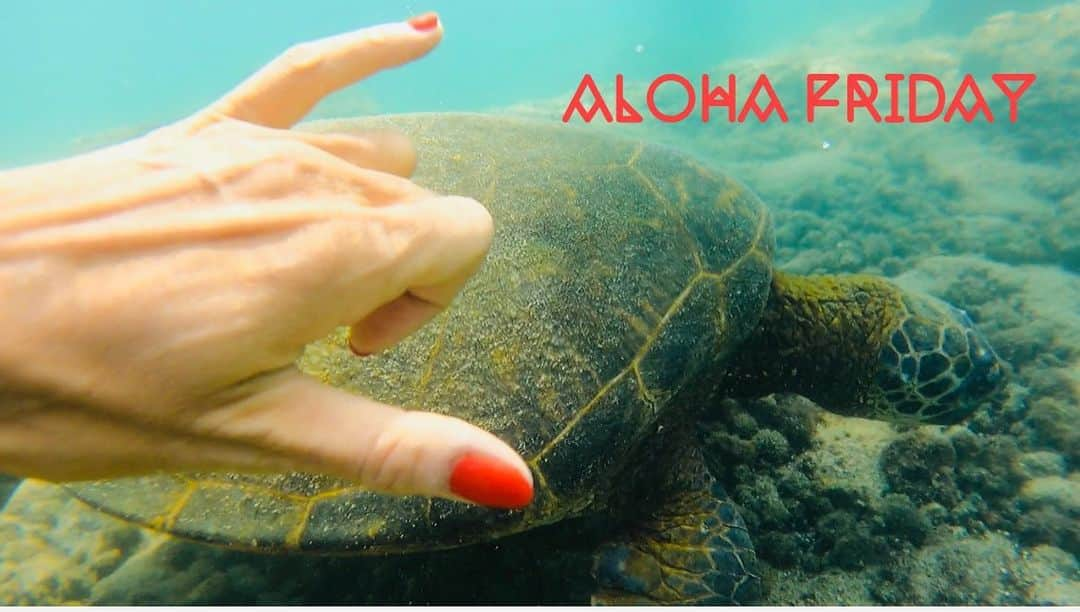 Moco Lima Hawaiiさんのインスタグラム写真 - (Moco Lima HawaiiInstagram)「Aloha Friday♡  #love#honu#turtle#ocean#cute#howcuteyouare#bigisland#hawaii#waikoloa#winter#vacation#activegirl#supgirl#naturegirl#islandgirl#alohafriday#mocolima#mocolimahawaii#friday#oahu#ホヌ#カメ#大好き#海好き#ハワイ好き#ハワイ大好き#ハワイロス#ハワイ旅行#ハワイ島#モコリマハワイ」1月23日 13時20分 - mocolimahawaii