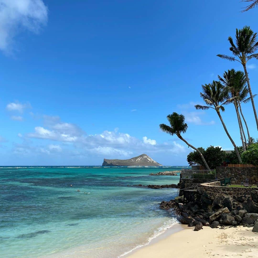 黒木理也のインスタグラム：「🤙alohaaaaa」