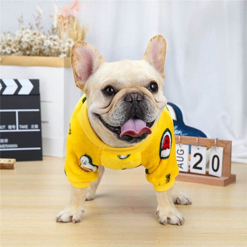 French Bulldogさんのインスタグラム写真 - (French BulldogInstagram)「Magic Plush ...