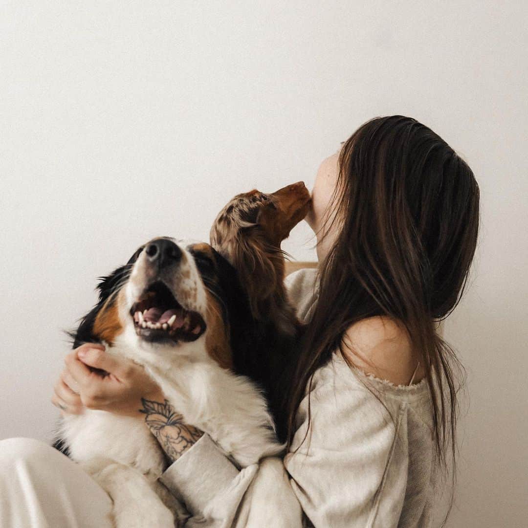 Acacia Brinleyさんのインスタグラム写真 - (Acacia BrinleyInstagram)「Pupper doggos! (See @jairusjosephkersey ‘s before photos so I could show him what I was envisioning!)」1月23日 5時14分 - acaciakersey