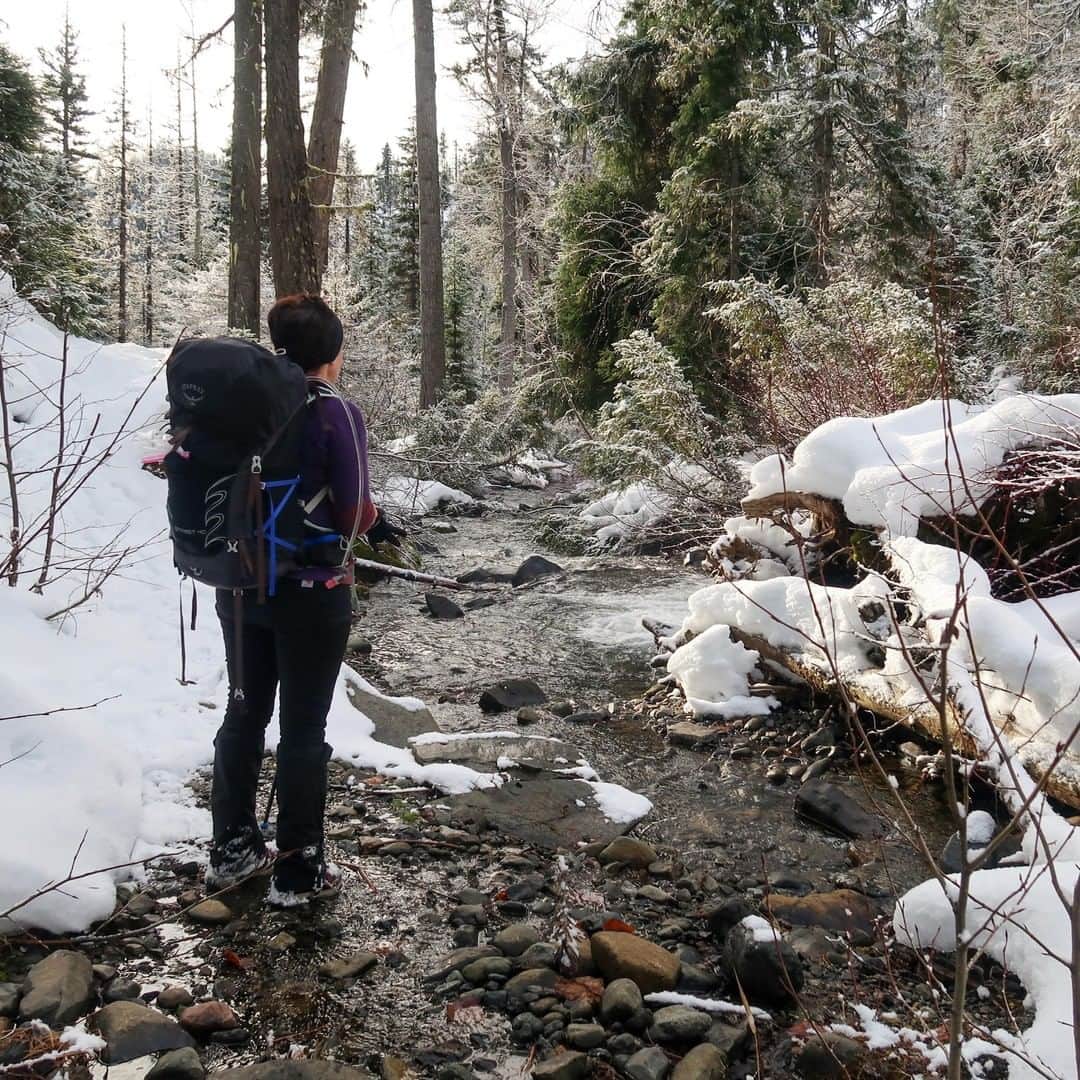 オスプレーさんのインスタグラム写真 - (オスプレーInstagram)「With winter hiking season in full force, it's important to make sure your cold weather setup is dialed. For recommendations on the best gear, or simply for some inspiration to hit the snowy trails this weekend, we turn to #OspreyAmbassador @_thehungryhiker. Head to the link in our bio to check out her new video outlining her go-to gear for winter hiking. #winterhiking #wintergear」1月23日 6時39分 - ospreypacks