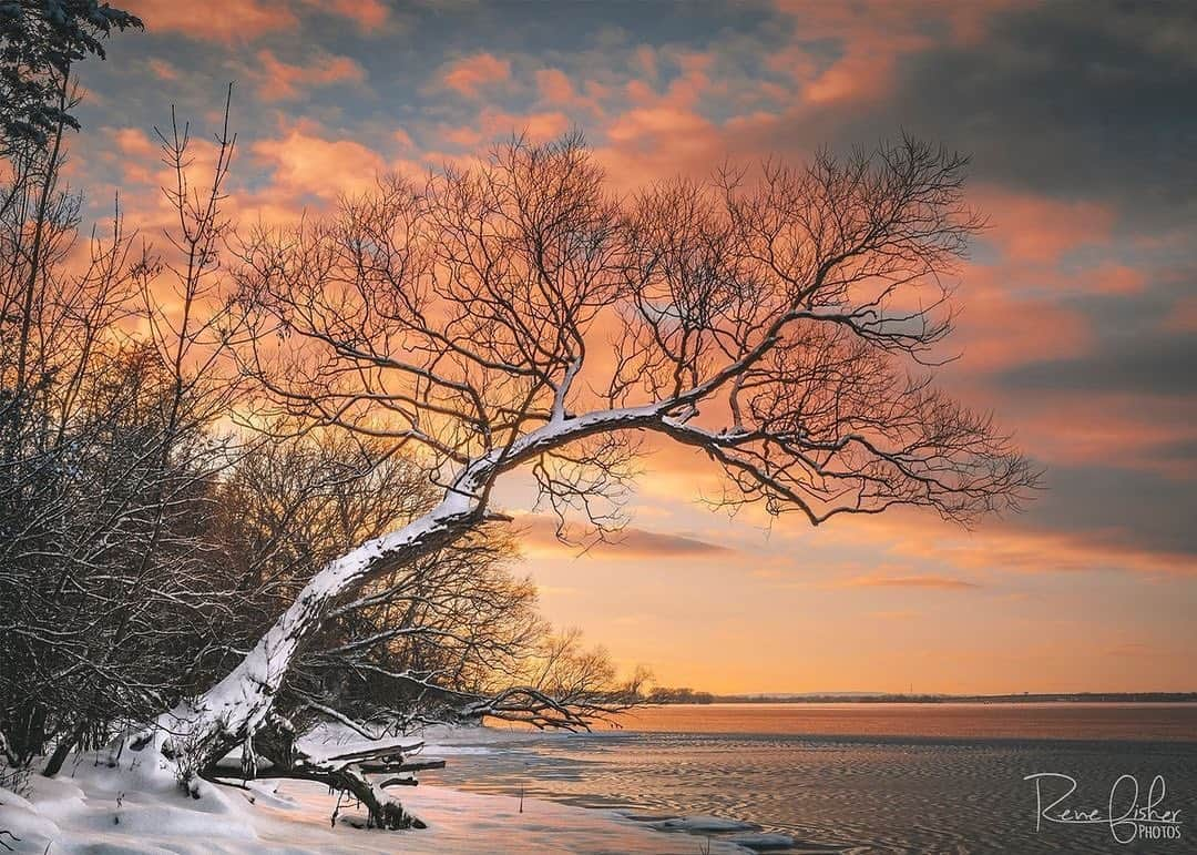 Ricoh Imagingさんのインスタグラム写真 - (Ricoh ImagingInstagram)「Posted @withregram • @renefisher_photography Blue skies are uncommon this time of year, but you definitely appreciate them more when they do appear! ⁠ Taken with Pentax K-3 II and 40mm f/2.8 Limited lens⁠ ⁠ #Canada_PhotoLovers #discoverON #pentaxian #YourShotPhotographer #natgeoyourshot #ricohpentax #insidecanada #cangeo #sharecangeo #pentaxian #shootpentax⁠ .⁠ ⁠ .⁠ .⁠ .⁠ .⁠ ⁠ #dream_spots #visual_heaven #landscapephoto #majestic_earth #discoverglobe #natgeoyourshot #epic_captures #sharecangeo #passionateglobe #ThisWeekOnInstagram #thevisualcollective #splendid_shotz #weekly_feature #visualambassadors」1月23日 6時56分 - ricohpentax