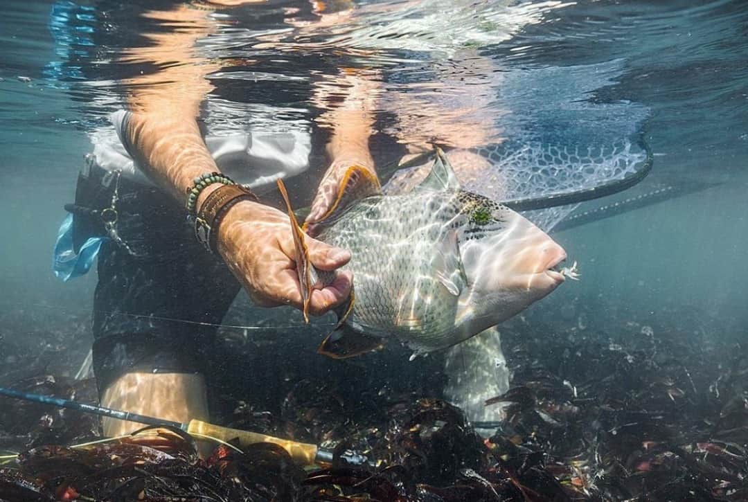 Costa Sunglassesのインスタグラム：「Hand on the trigger. 📷: @keithroseinnesflyfishing @alphonsefishingco #SeeWhatsOutThere」