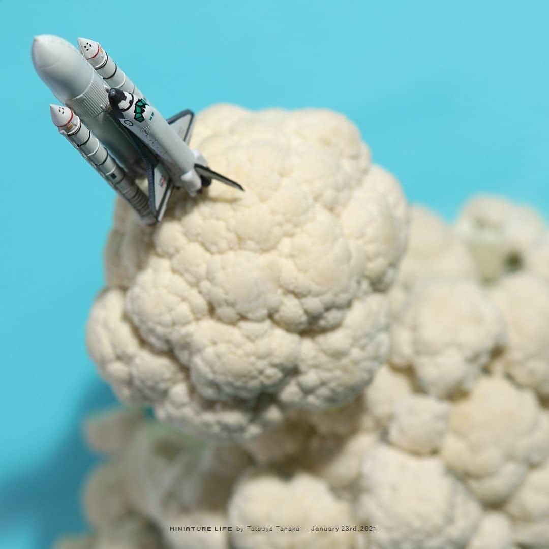 田中達也さんのインスタグラム写真 - (田中達也Instagram)「⠀ “Space Shuttle Cauliflower” ⠀ スペースシャトル・カリフラワー号 ⠀ ──────────────────── 《EXHIBITION info》 ⠀ 【MINIATURE LIFE展 2020 in 佐賀】 MINIATURE LIFE EXHIBITION 2020 in Saga until: Jan. 30, 2021 ⠀ ────────── 《Coming Soon》 ⠀ 【MINIATURE LIFE展2 in 熊本】 MINIATURE LIFE EXHIBITION2 in Kumamoto Jan. 29 - Mar. 14, 2021 #MiniatureLife展 #ミニチュアライフ展 ⠀」1月23日 7時30分 - tanaka_tatsuya