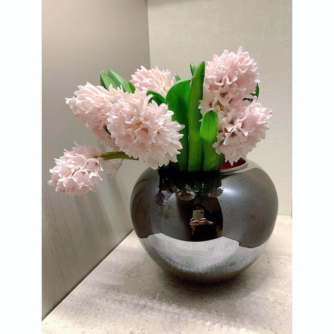 山本みらいのインスタグラム