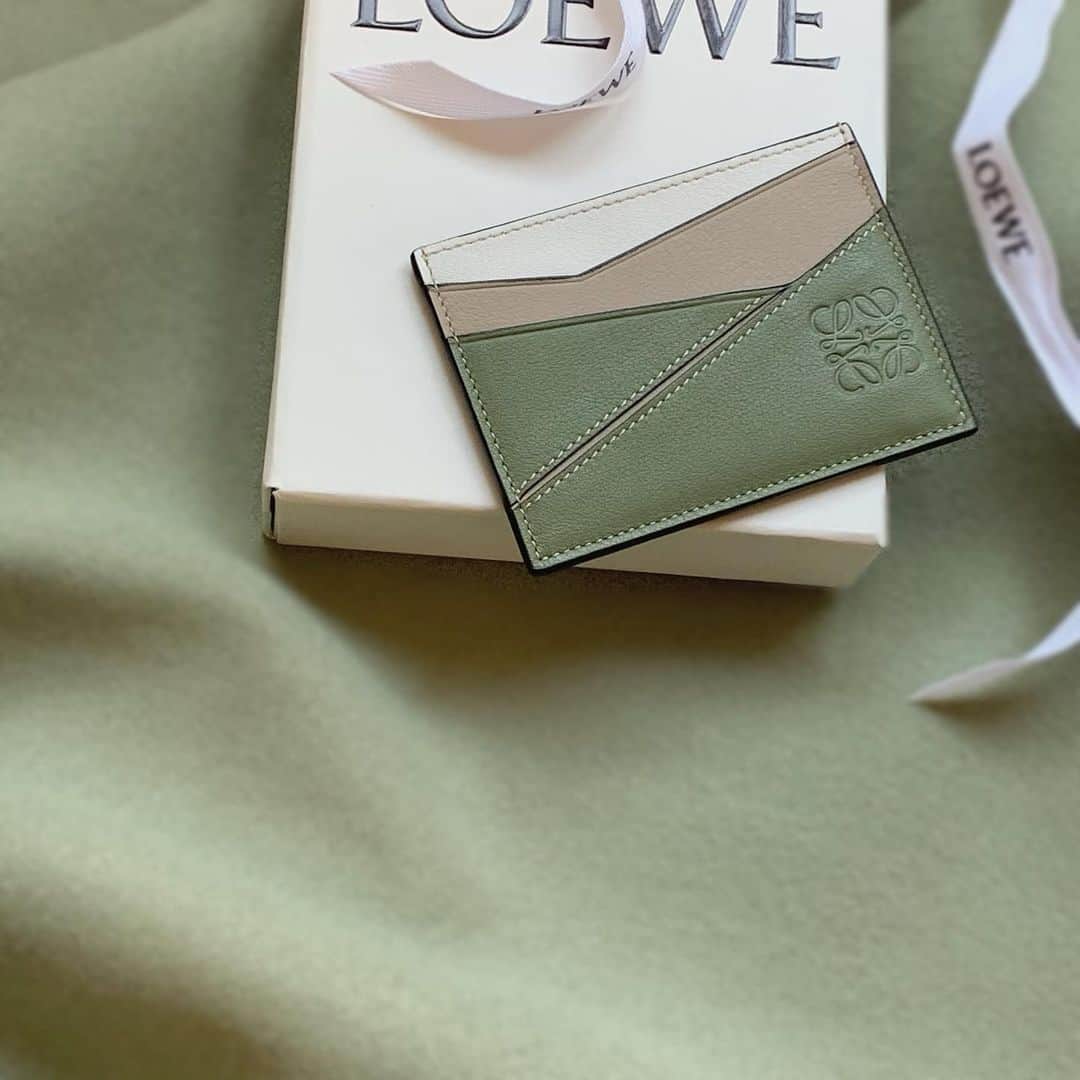 AKARIのインスタグラム：「#loewe 🌿𓍱 色が可愛くて一目惚れ〜〜 お財布にしてる ♡」