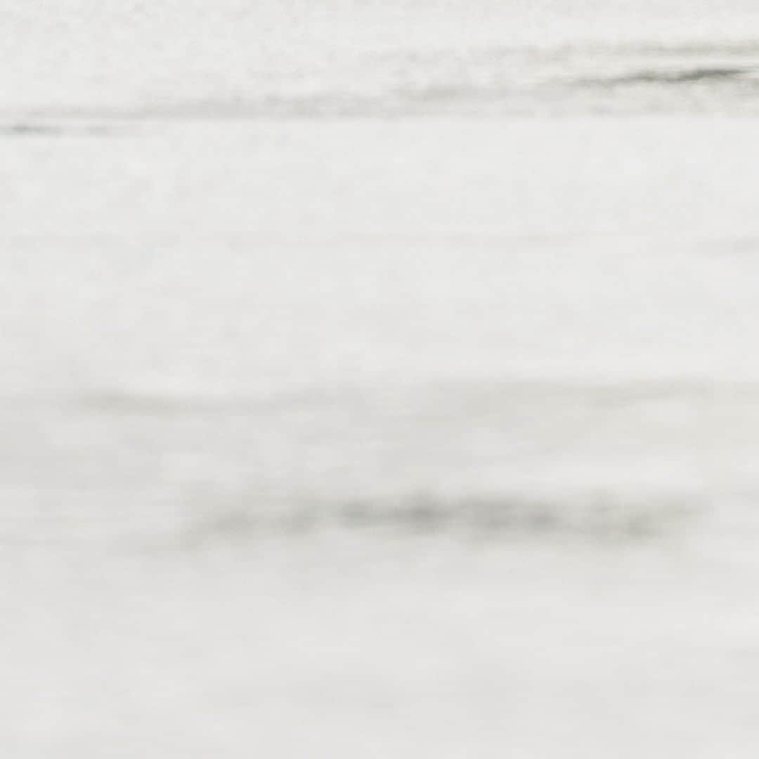 ヒラハルのグルメインスタ