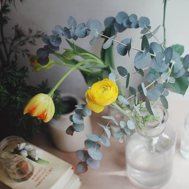 キナリノさんのインスタグラム写真 - (キナリノInstagram)「＼キナリノモール／trèfle｜トレフルのお花便	  －－－－－－－－－ 季節のお花をご自宅に*  トレフルではラッピングやお花を束ねない事で、同じご予算の花束より花数を少し増やしてお送りする「トレフルのお花便」をご用意いたしました。 ご自宅でお過ごしになる時間を楽しんでいただけるよう、季節のお花をセレクトしてお届けいたします。 ご友人や離れて暮らすご家族にお送りするのもおすすめです＊  －－－－－－－－－ https://kinarino-mall.jp/item-63663  ▶画像をタップすると詳細情報をご覧いただけます。  ▶プロフィールの「インスタ掲載」ボタンから、ご紹介商品をまとめてご覧いただけます。→@kinarino_official  ▶キナリノアプリでも販売中！ 「お買いもの」→「インスタグラム掲載アイテム」 　 ※ダウンロードはプロフィールリンクから→@kinarino_official  #キナリノモール #キナリノ #丁寧な暮らし #暮らし #お花 #花 #お花便 #プレゼント #ギフト #インテリア #植物 #花のある暮らし #trèfle #flower #interior #gift #Present #instagood」1月23日 10時00分 - kinarino_official