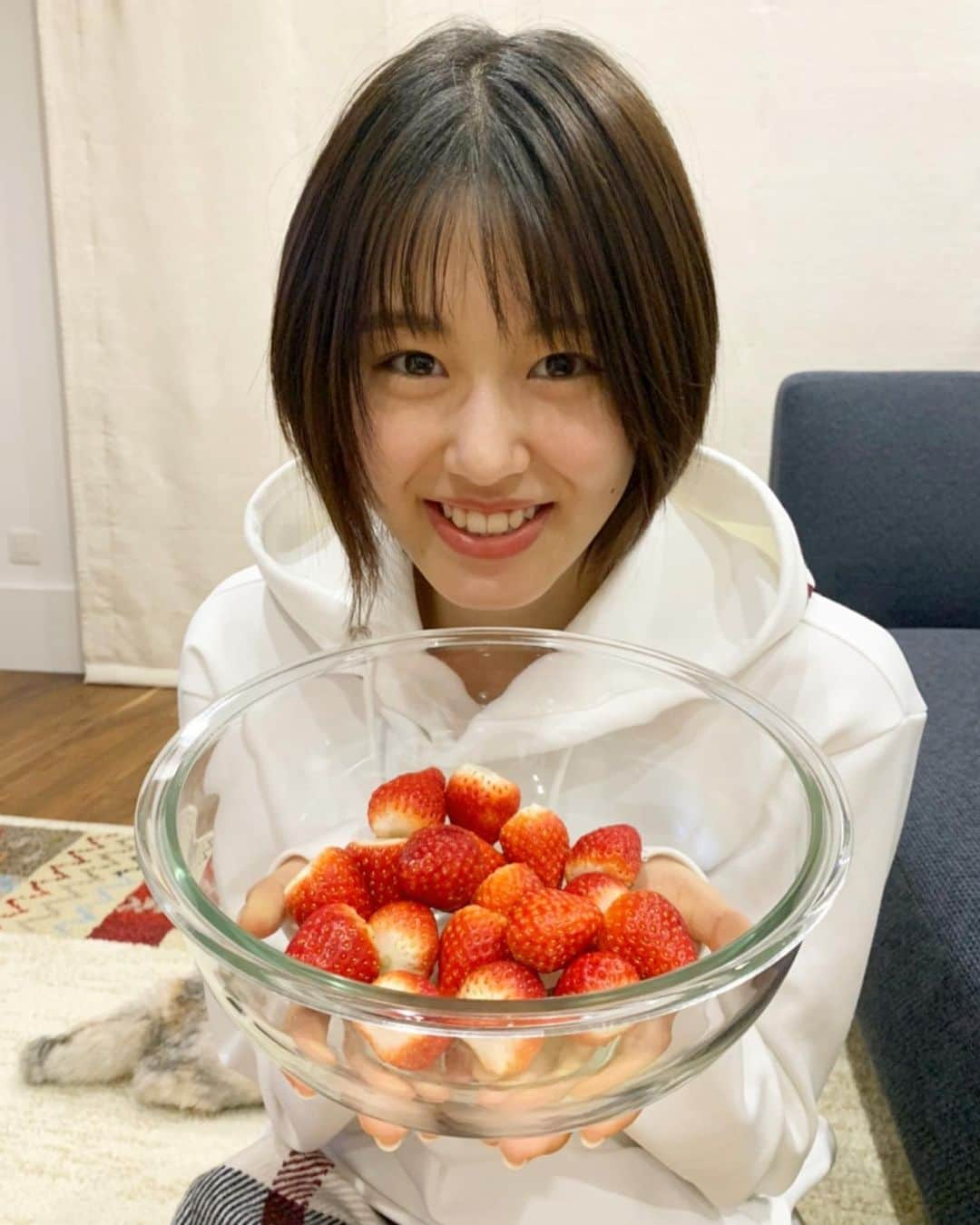 竹内愛紗のインスタグラム：「😸💛 苺と写真を撮っていたら…！🍓 後ろにぴょんちゃんのしっぽっぽが！ ぴょんちゃんも写真にうつりたいのかな？🤔と思い近づくと…!! そっぽ向かれちゃいました😂  #いちご#🍓#頑張れぴょんちゃん#しっぽっぽ#そっぽ向く猫#😽💛」