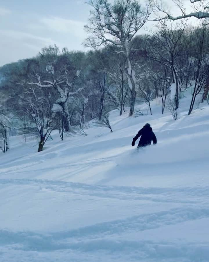 吉田拓巳のインスタグラム：「めちゃくちゃ気持ちよかった！ 久しぶりのパウダー体験！！  🎥 @leon_jr_ryo (追い撮り、うま過ぎです！w) #日本を滑ろう」