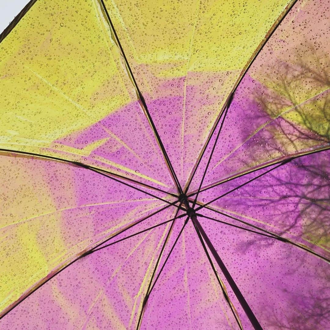 梶有紀子さんのインスタグラム写真 - (梶有紀子Instagram)「. rainy morning☂️👟✨ . . . #walking #rainymorning #rainydays #あめ #雨傘 #Aurora #umbrella . . . #梶有紀子 #yukikokaji #シンガーソングライター #弾き語り #ギター弾き語り #ギター女子 #ギター好きな人と繋がりたい #jpopmusic #japanesemusician #singerslife #japanesesong #音楽好きな人と繋がりたい #instamusiciansdaily #musiciandaily #音楽家 #日常の幸せ #シンガーソングライターと繋がりたい」1月23日 11時34分 - kajiyukiko1112