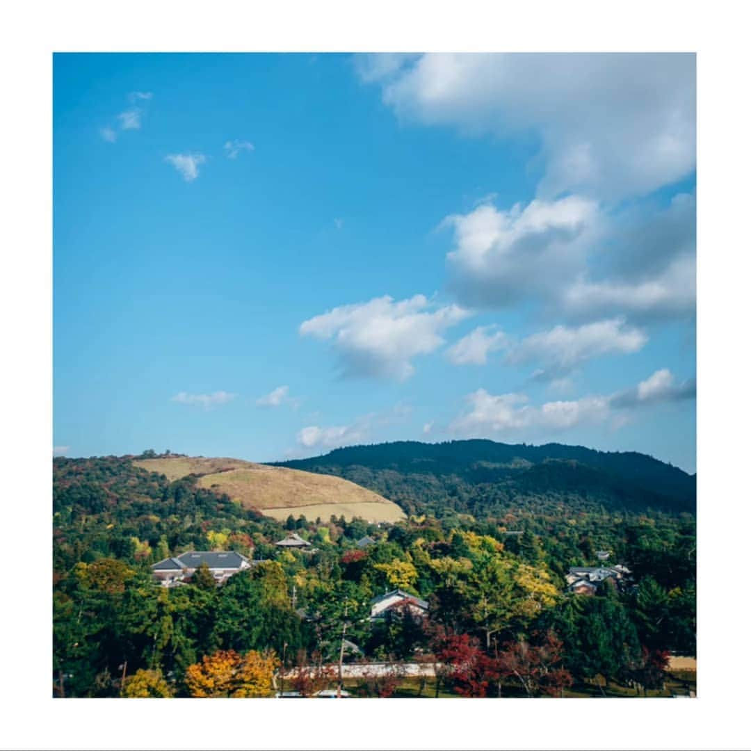 菊水楼公式アカウントのインスタグラム：「﻿ 若草山 // 奈良公園﻿ ﻿ 奈良市内を見下ろす奈良のシンボル、﻿ 若草山で行われる冬の代表的行事﻿ 「若草山焼き」は本日18時～です。﻿ ﻿ 春日大社・興福寺・東大寺の神仏が習合し、﻿ 先人の鎮魂と慰霊、さらには奈良全体の﻿ 防火と、世界の人々の平安をお祈りします。﻿ ﻿ 冬の古都の夜空を赤々と染め上げ、﻿ 山が浮かび上がるさまは壮観です。﻿ ﻿ ﻿ 今年は花火や聖火行列はキャンセル。﻿ 規模を縮小し関係者のみで執り行われ、﻿ その様子はライブ配信されるのだそうです。﻿ ﻿ 夕方から雨が上がりますように！﻿ ﻿ ＊  ﻿ @osaka_laviephotography﻿ @the_kikusuiro_narapark #japan #nara #kikusuiro #narapark #naradeerpark #trip #travel #narajapan #naralunch #お顔合わせ ﻿ #奈良 #ならまち #菊水楼 #奈良グルメ #冬 ﻿ #行事 #和会席 #料亭  #菊水楼130周年 ﻿ #若草山焼き #奈良公園 #山焼き ﻿ #今年はライブ配信 #花火はない残念 ﻿ #若草山」