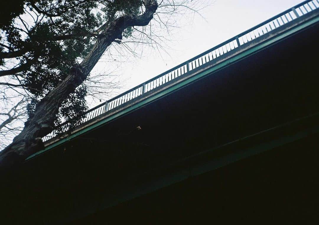 本田響矢さんのインスタグラム写真 - (本田響矢Instagram)「📷」1月23日 21時36分 - k__y__o__y__a.h