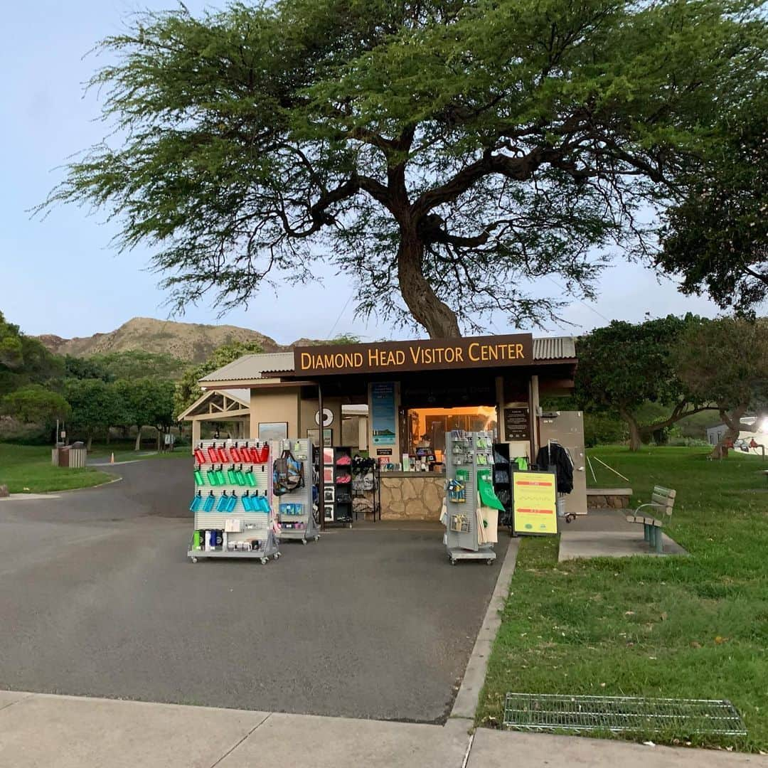 飯島寛子さんのインスタグラム写真 - (飯島寛子Instagram)「ダイアモンドヘッドへの入り口に向かう トンネルに信号がつき一車線になってました。 #ダイアモンドヘッド　#ハワイ暮らし #ハワイを走ろう　#朝日」1月23日 21時48分 - hirokoiijima