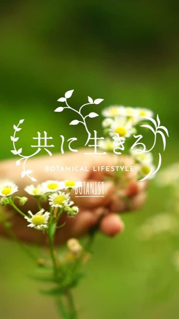 botanist officialのインスタグラム