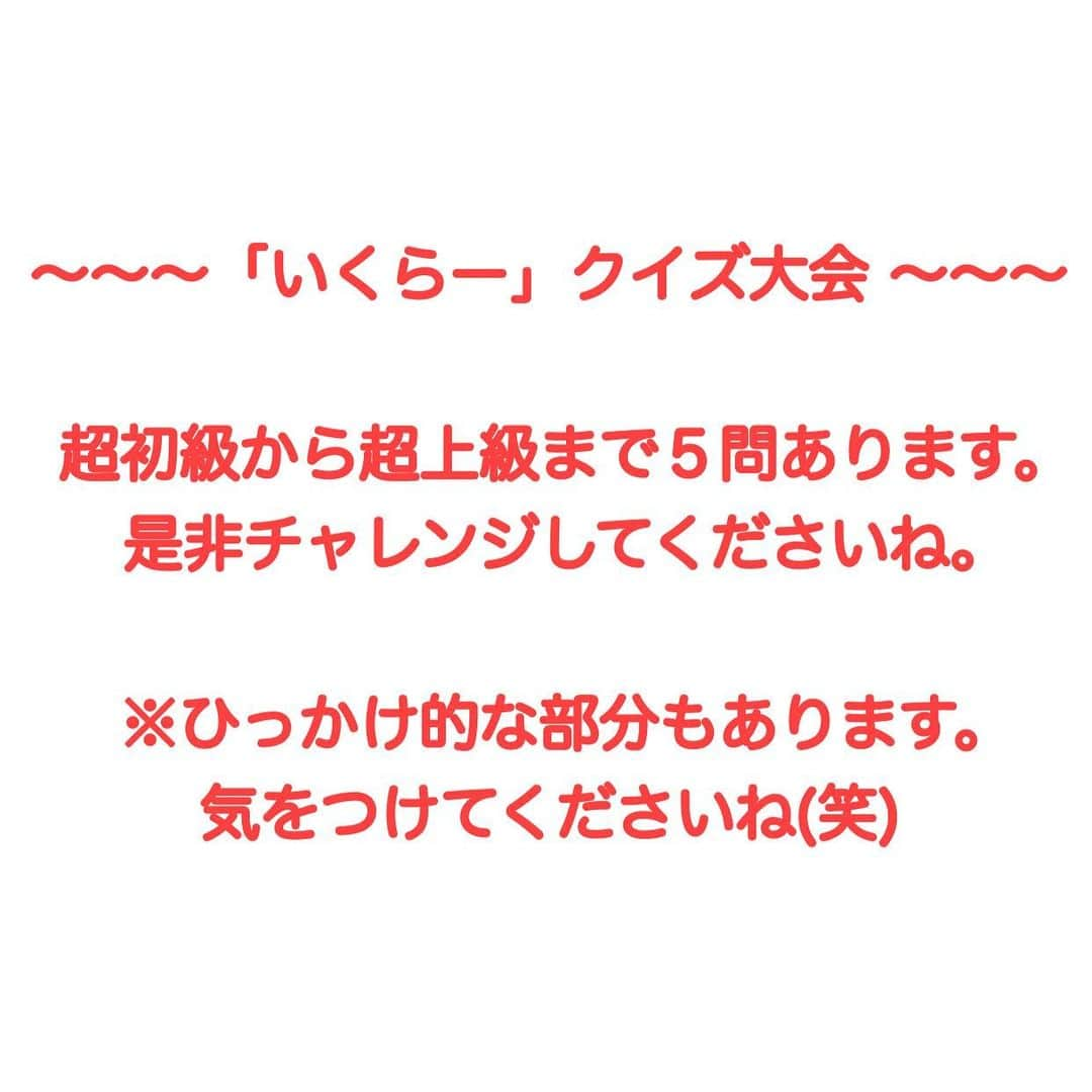 セロリのインスタグラム：「【久しぶりのいくらクイズ開催】 エース君ママとのコラボ企画です。 エース君といくらって似てると思うんです。 AとB、どちらがいくらだと思うかを答えてください。 超初級から超上級まで5問あります。 AAAAAやBBBBBのように、5問続けてコメント欄で回答してください。 わかるかな〜〜〜？？？ もちろん無回答のコメントでも大歓迎です(笑) ひっかけ問題的なところもあるので注意してくださいね。 僕自身、画像を準備中にどっちかわからなくなる瞬間ありました(苦笑) @monkey.d.yky42  #maltese #マルチーズ #malteseofinstagram #maltese101 #malteser #malteseofficial #maltesedog #dog #instadog #dogstagram #dogoftheday #doglovers #instapet #adorable #ilovemydog  #ペット #わんこ #ふわもこ部 #犬のいる暮らし #いぬら部  #いぬすたぐらむ #イッヌ」