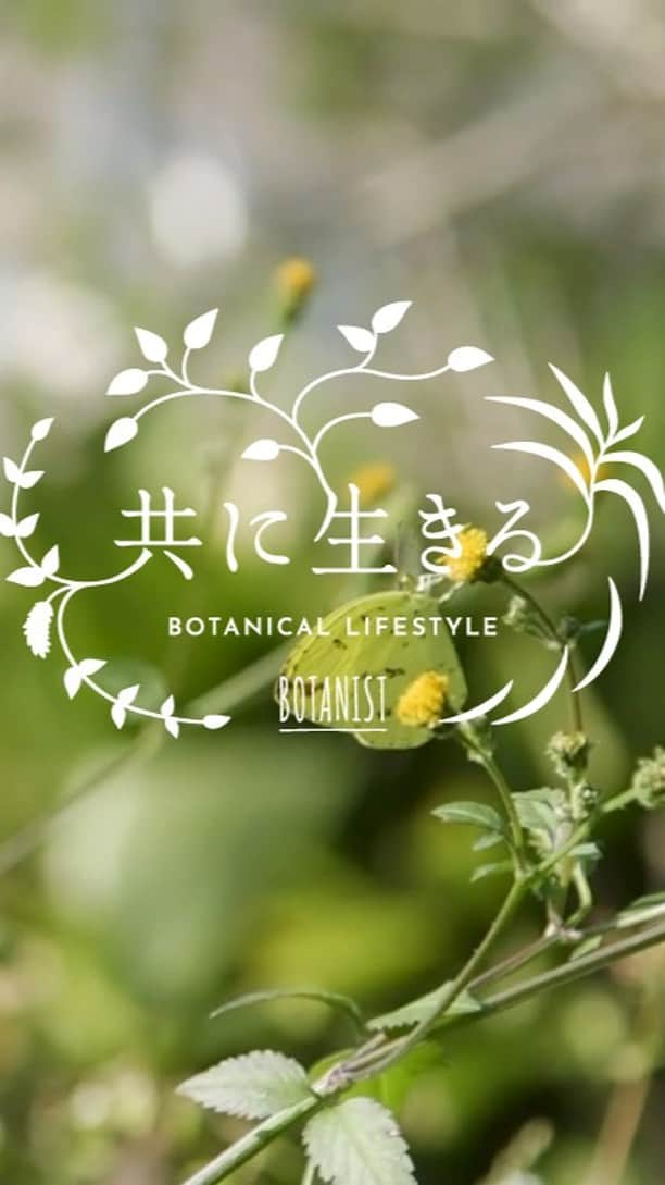 botanist officialのインスタグラム