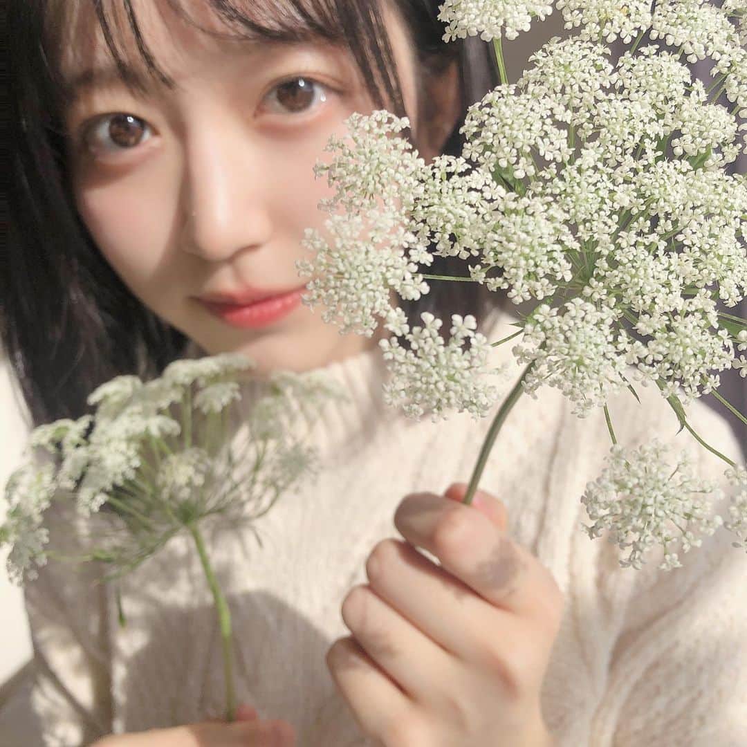 齋れいなのインスタグラム：「寒すぎるので暖かい写真を。 冬はやっぱりお鍋ですな なめこ汁も好きです 焼き芋の匂わせは罪レベル マフラー巻いた女の子 こたつ天国 澄んだ空気  でもやっぱり早く春になってほしい  #ポートレート#ポートレート被写体#かすみ草#花のある暮らし#花写真#ドライフラワー#フラワーインテリア #女子大生#ポトレ撮影#ポトレモデル#カメラ女子#女孩#可爱#扎心了#ビジョビ」