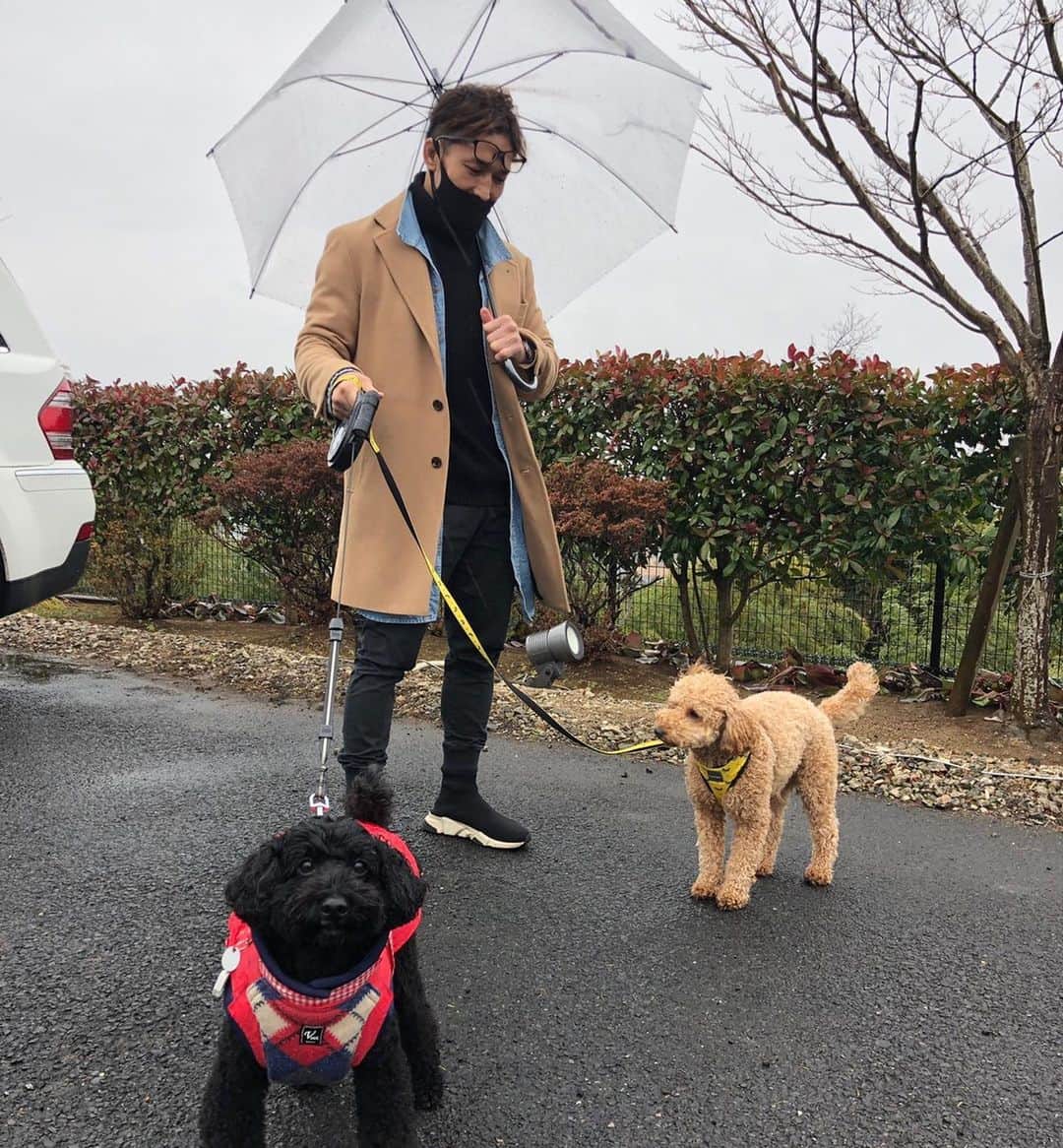 宮田和幸のグルメインスタ