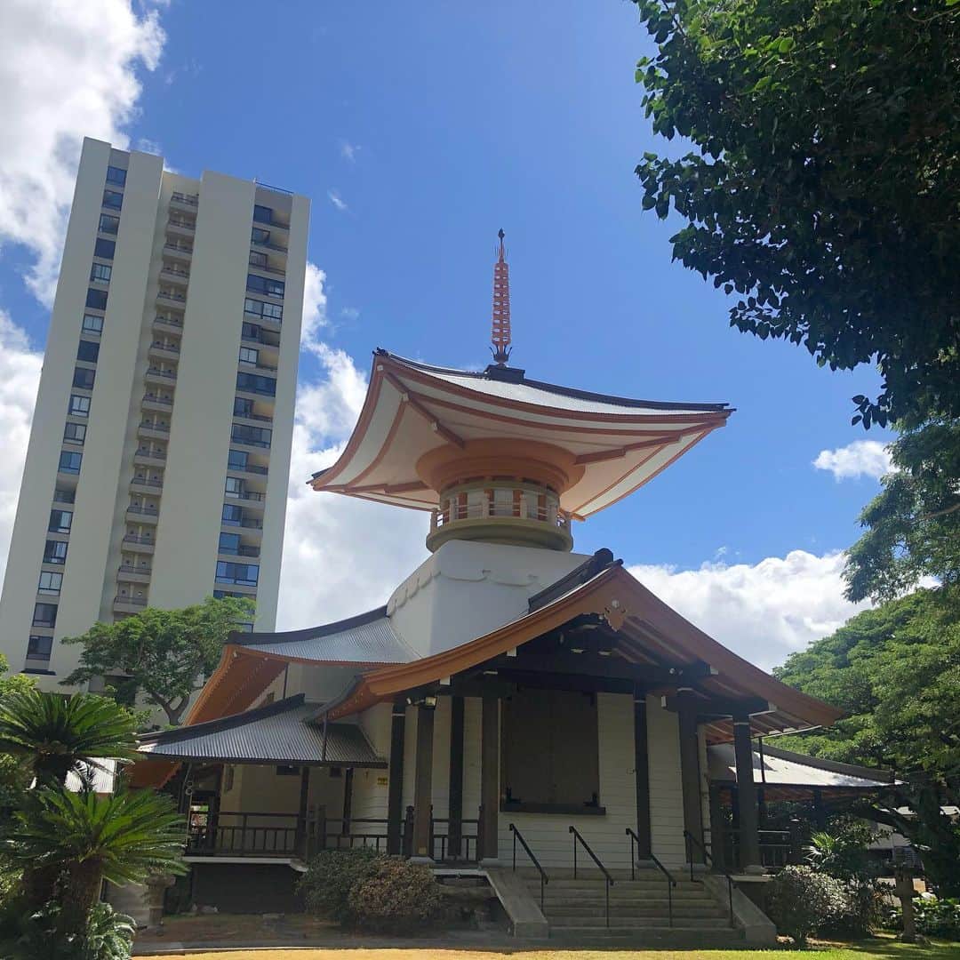 Honolulu Myohoji Missionさんのインスタグラム写真 - (Honolulu Myohoji MissionInstagram)「🙏🏼  Happy aloha Friday everyone!  Honolulu Myohoji reopened weekly meditation on every Saturdays at 10:00am - 11:00am on Zoom! To attend our Zoom meditation class, please call or email below: 808-524-7790 info@honolulumyohoji.org  Let’s make some time to focus on your mind.  Looking forward to seeing you on Zoom!  ————————- 📺  Honolulu Myohoji YouTube channel is available now!  On our YouTube channel, you can see - Rev. Yamamura’s talk, - Past events of Honolulu Myohoji, and - Some nice Hawaii weather from Honolulu Myohoji.  🪄 Dr. Yukari’s listening lounge is here for you!  - Stories are twice a week on our blog, Facebook and Instagram. ————————- * * * * #ハワイ #ハワイ好きな人と繋がりたい  #ハワイだいすき #ハワイ好き #ハワイに恋して #ハワイ大好き #ハワイ生活 #ハワイ行きたい #ハワイ暮らし #オアフ島 #ホノルル妙法寺 #思い出　#honolulumyohoji #honolulumyohojimission #御朱印女子 #開運 #穴場 #パワースポット #hawaii #hawaiilife #hawaiian #luckywelivehawaii #hawaiiliving #hawaiistyle #hawaiivacation」1月23日 14時22分 - honolulumyohoji