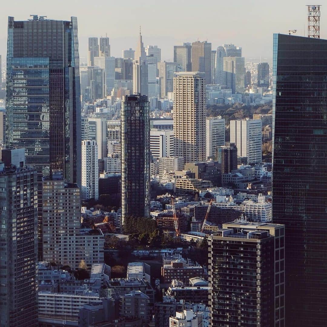 東京DANDYさんのインスタグラム写真 - (東京DANDYInstagram)「Tokyo City 2021」1月23日 14時33分 - tokyodandy