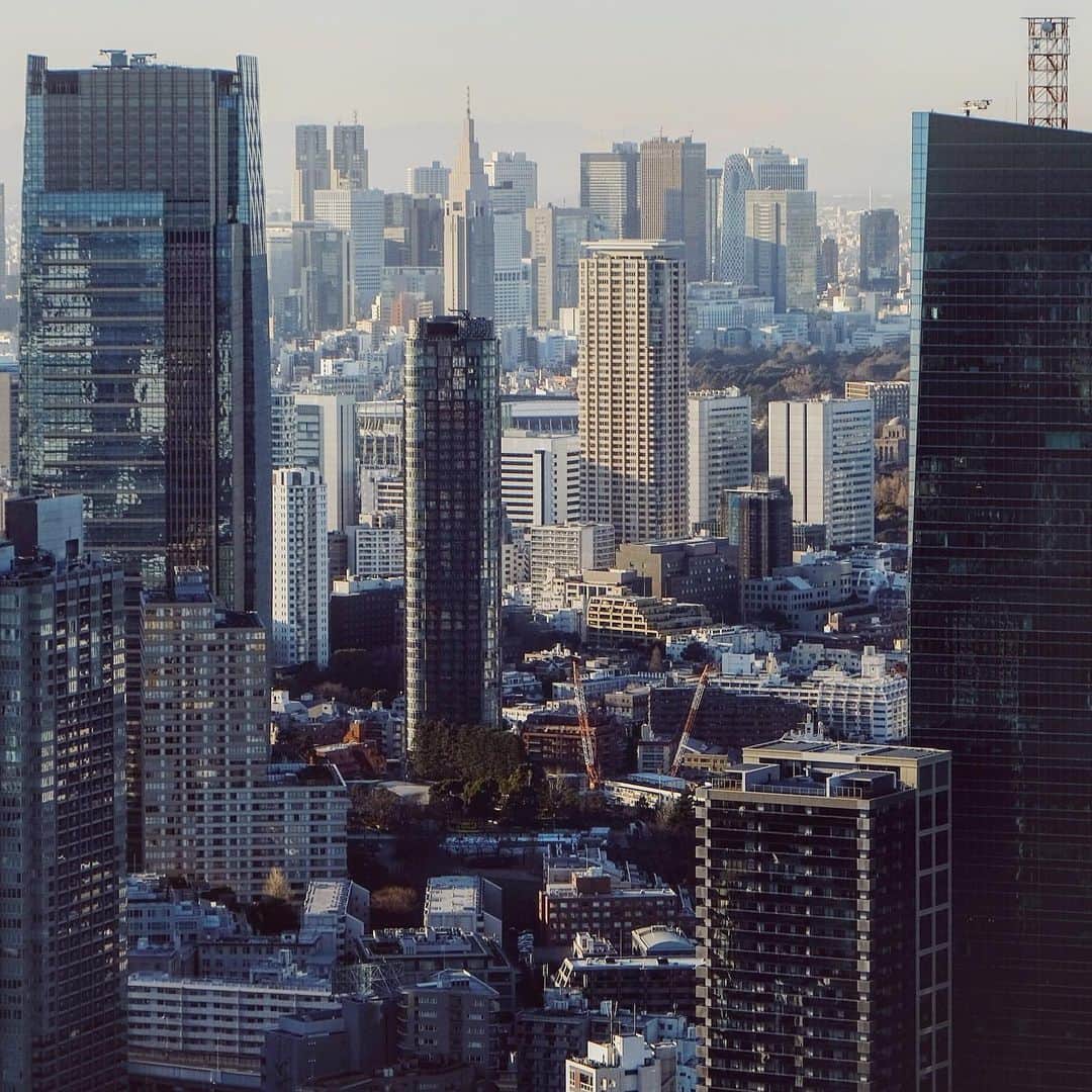 東京DANDYのインスタグラム：「Tokyo City 2021」