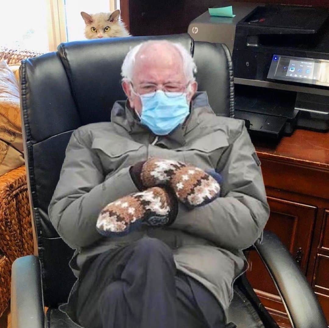 アルベルトのインスタグラム：「The three little kittens, they lost their mittens & then they saw Bernie. 🎶 #pompousalbert #berniesanders #berniesandersmemes #berniesandersmittens」