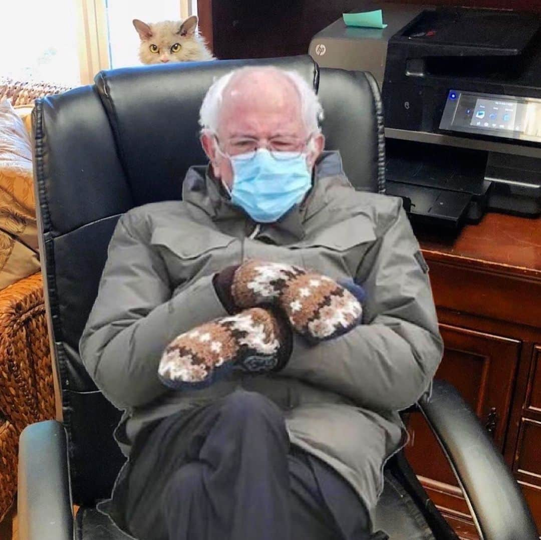 アルベルトさんのインスタグラム写真 - (アルベルトInstagram)「The three little kittens, they lost their mittens & then they saw Bernie. 🎶 #pompousalbert #berniesanders #berniesandersmemes #berniesandersmittens」1月23日 14時46分 - pompous.albert