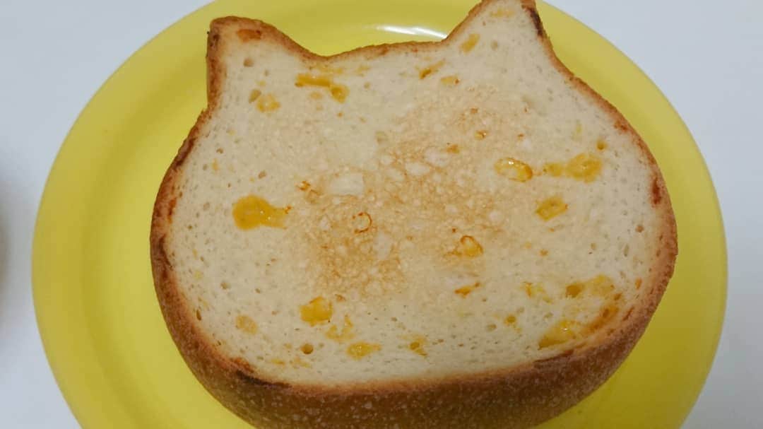 桜花さんのインスタグラム写真 - (桜花Instagram)「ねこねこチーズパン🐱🍀🍀  焼くとチーズが溶けて美味しいです✨ まさに美味チーズ！  最近パンにはまっています✨  とってもパンダフル＼(^^)／🍀✨  本日天気が崩れるようです 暖かい格好でお過ごしください🍀 #パンダフル #パン  #チーズ #美味チーズ #暖かく」1月23日 15時22分 - mountainohka