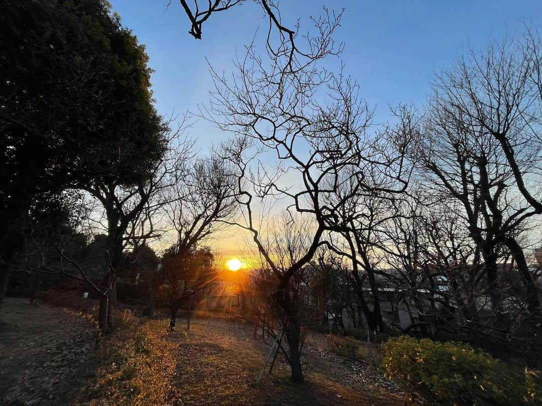 新井利佳さんのインスタグラム写真 - (新井利佳Instagram)「日本の景色。 好き。  昨日はぼちぼち出掛けたりして。  今日は眼科。 ものもらい出来たの。 抵抗力が弱くなった時、疲れが溜まったり、寝不足、栄養不足の時になりやすいらしい。  栄養不足は確実にないな。  雨がしとしと降る感じも久しぶり☂️  台湾もタイも大きな傘は必要なかったから。  雪☃️降るかな？  日本風景好美🇯🇵 好久沒回日本。 已經14天隔離結束、昨天走來走去看看我家附近。  今天去看醫生🩺 眼睛腫起來， 醫生說長針眼。 我沒有偷看別人洗澡〜🛁  當睡眠不足、過度勞累或抵抗力下降時候很容易會有長針眼👀  今天東京一直下雨☔️聽說會有下雪呢❄️ 乖乖在家好好休息🍚🍜☃️  #日本風景 #日常生活 #好美 #日出 #遛狗 #走走 #日本生活  #japanphoto #sunrise #sunrise_sunset_worldwide #takeawalk #winterpark #いぬのいる生活  #散歩道」1月23日 15時47分 - rika.arai