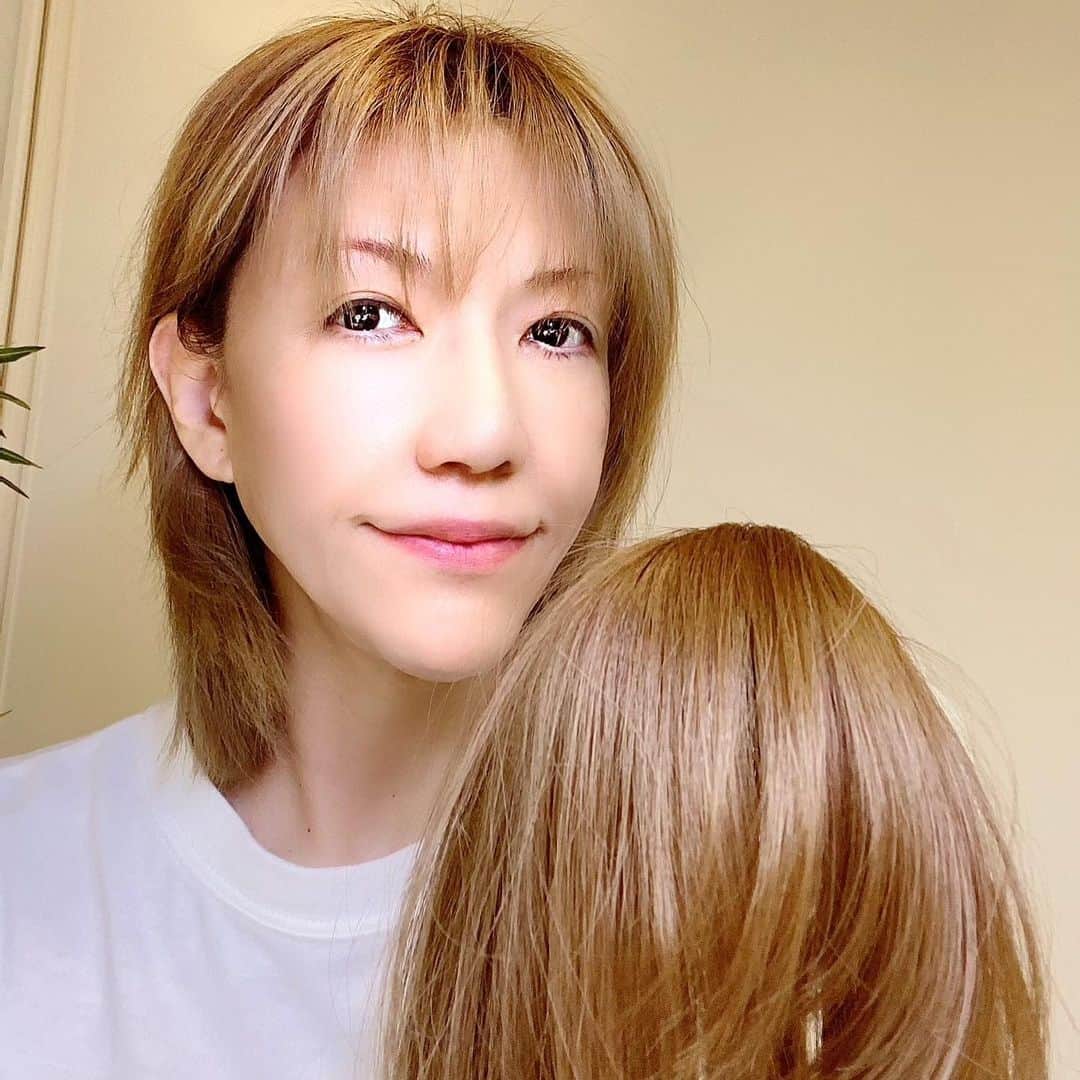 ブル中野さんのインスタグラム写真 - (ブル中野Instagram)「I bought a wig.」1月23日 15時56分 - bull__nakano