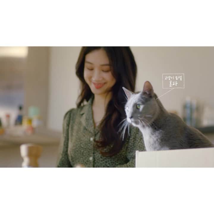 チョン・リョウォンのインスタグラム：「#광고 . 취향가전 광고 본편에서 다 보여주지 못한 저만의 홈파티 레시피! 여기서 확인해보세요 . @samsungkorea 에서 진행하는 취향가전 이벤트가 1월31일 종료된다고 하니, 얼른 서두르세요! . . . #삼성비스포크 #취향가전 #가전을나답게 #정려원의취향로그 #그들의취향로그」