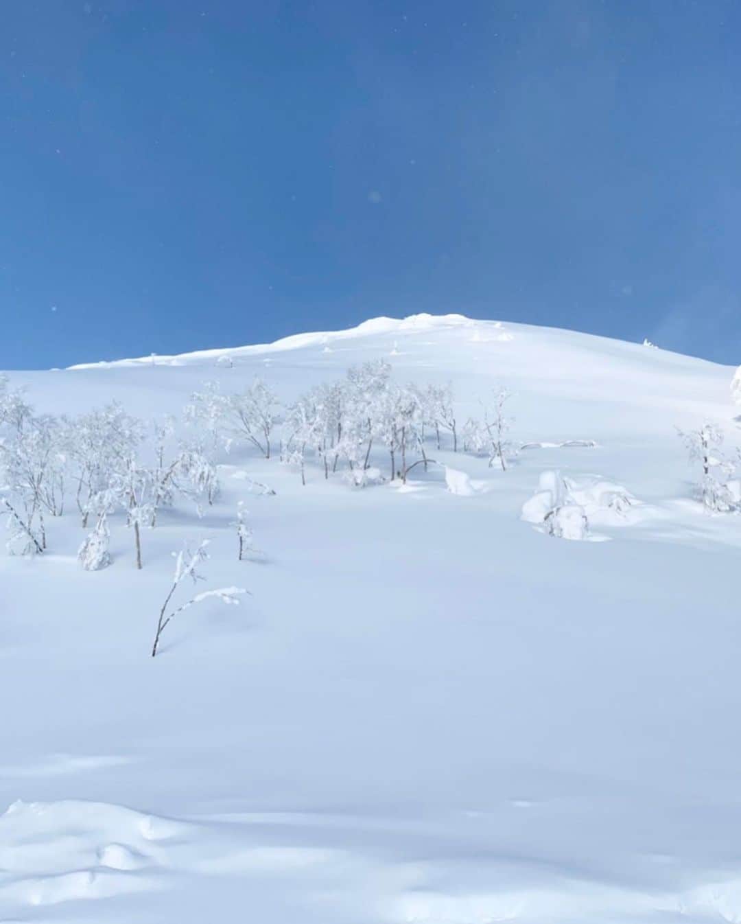 星野リゾート　トマムさんのインスタグラム写真 - (星野リゾート　トマムInstagram)「Today’s Hoshino Resorts TOMAMU   昨日の夕方からの雪が止み、気持ち良い朝を迎えた星野リゾート　トマム。美しい青空と霧氷が広がった一日でした。  上級者限定解放エリアもスロープスタイルも全面オープンしています。スロープスタイルでは、特に11メートルの上級キッカーのコンディションが良好でした！本日もご来場ありがとうございました🏂⛷❄️✨  #HoshinoResorts #星野リゾート #tomamu #hoshinoresortstomamu #星野リゾートトマム #トマム #risonaretomamu #リゾナーレトマム #risonare #リゾナーレ #北海道旅行 #星野集團 #Hokkaidotrip #霧氷テラス　#terraceoffrosttree」1月23日 17時03分 - hoshinoresorts_tomamu