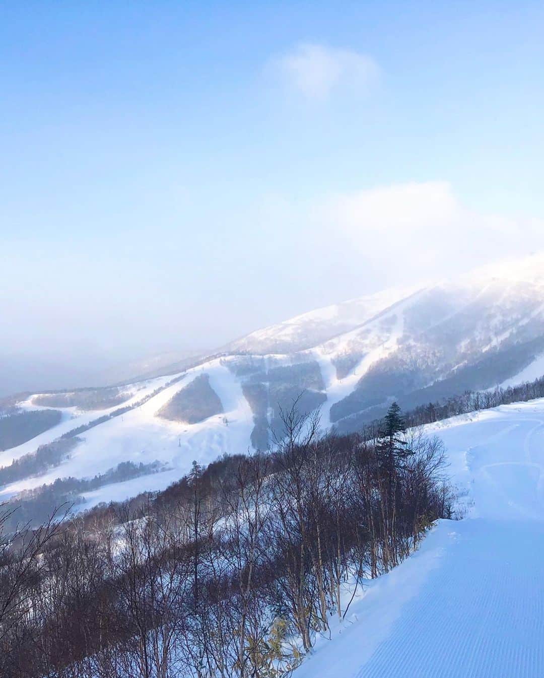 星野リゾート　トマムさんのインスタグラム写真 - (星野リゾート　トマムInstagram)「Today’s Hoshino Resorts TOMAMU   昨日の夕方からの雪が止み、気持ち良い朝を迎えた星野リゾート　トマム。美しい青空と霧氷が広がった一日でした。  上級者限定解放エリアもスロープスタイルも全面オープンしています。スロープスタイルでは、特に11メートルの上級キッカーのコンディションが良好でした！本日もご来場ありがとうございました🏂⛷❄️✨  #HoshinoResorts #星野リゾート #tomamu #hoshinoresortstomamu #星野リゾートトマム #トマム #risonaretomamu #リゾナーレトマム #risonare #リゾナーレ #北海道旅行 #星野集團 #Hokkaidotrip #霧氷テラス　#terraceoffrosttree」1月23日 17時03分 - hoshinoresorts_tomamu