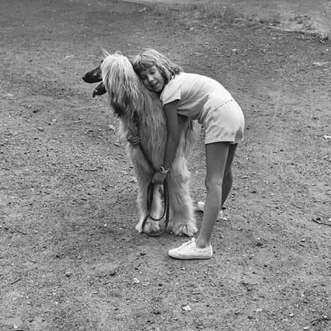 Meganさんのインスタグラム写真 - (MeganInstagram)「Elliott Erwitt's Dogs 〰 New York City, 1988 ⁠ .⁠ .⁠ .⁠ .⁠ #ellioterwitt #dogs #newyorkcity #magnumphotos」1月23日 17時01分 - zanzan_domus