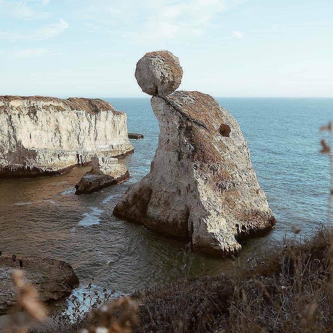 Canon Photographyさんのインスタグラム写真 - (Canon PhotographyInstagram)「These are absolutely amazing!! 🤩 Digital Art // @martijn.schrijver Curated by @steffeneisenacher  #digitalart #wildlife #rocks #art #photoshop」1月23日 17時05分 - cpcollectives