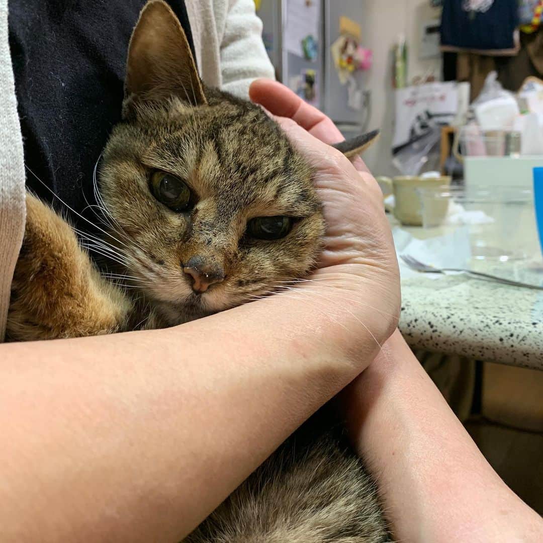 Kachimo Yoshimatsuのインスタグラム
