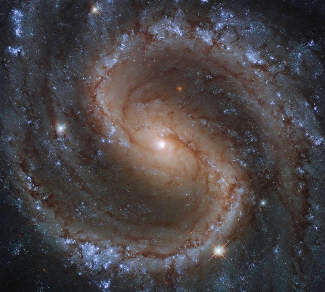 NASAさんのインスタグラム写真 - (NASAInstagram)「Located in the constellation of Virgo (The Virgin), around 50 million light-years from Earth, the galaxy NGC 4535 is truly a stunning sight to behold. Despite the incredible quality of this image, taken by @NASAHubble, NGC 4535 has a hazy, somewhat ghostly, appearance when viewed from a smaller telescope. This led amateur astronomer Leland S. Copeland to nickname NGC 4535 the “Lost Galaxy” in the 1950s.  The bright colors in this image aren’t just beautiful to look at, as they actually tell us about the population of stars within this barred spiral galaxy. The bright bluish colors, seen nestled amongst NGC 4535’s long, spiral arms, indicate the presence of a greater number of younger and hotter stars. In contrast, the yellower tones of this galaxy’s bulge suggest that this central area is home to stars which are older and cooler.   This galaxy was studied as part of the Physics at High Angular resolution in Nearby Galaxies (PHANGS) survey, which aims to clarify many of the links between cold gas clouds, star formation, and the overall shape and other properties of galaxies. On Jan. 11, 2021, the first release of the PHANGS-HST Collection was made publicly available.   Credit: ESA/Hubble & NASA, J. Lee and the PHANGS-HST Team」1月23日 23時18分 - nasagoddard