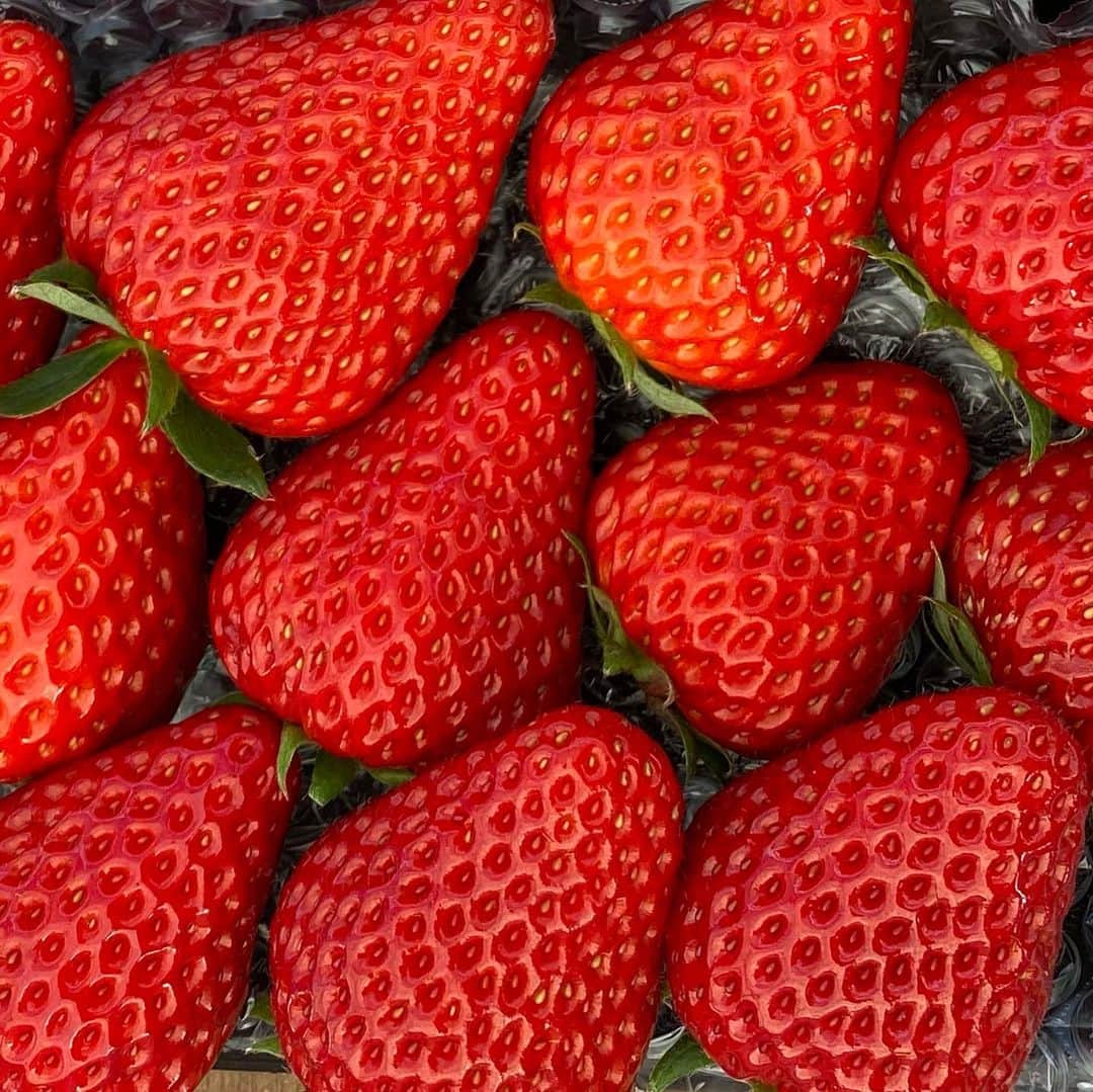 堀田祐美子のグルメインスタ