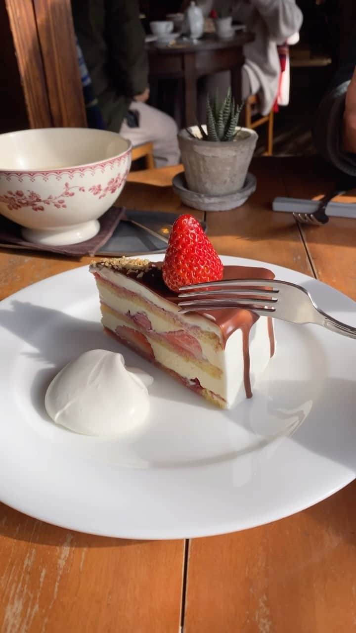 ぱんもんのインスタグラム