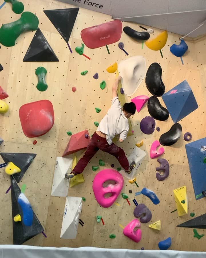 石松大晟のインスタグラム：「・﻿ 今日は @boulderpark_basecamp 🔥﻿ まずはセット時にやっていなかった1級、初段、2段でベルコン練習。﻿ 1本だけ落ちてしまったけど他は1回で完登出来た💯﻿ その後は狙っていた3段も完登👏﻿ コンペ前に良い練習が出来た。﻿ ﻿ #climbing #bouldering #sportsclimbing #climbing_videos_of_instagram #bouldering_videos_of_instagram #クライミング #ボルダリング」