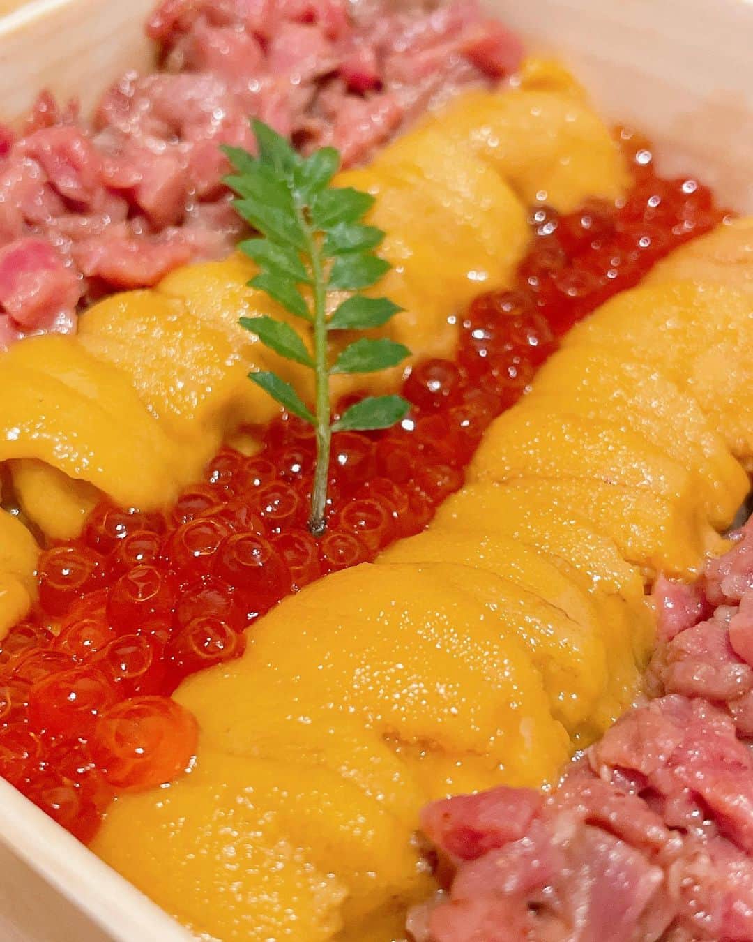 フォーリンデブさんのインスタグラム写真 - (フォーリンデブInstagram)「これは禁断のお弁当…！ まさかの出会ってはイケないものを見つけて購入しちゃったのは、東銀座にある焼肉店【銀座ちかみつ】のテイクアウト限定の一品🌟 「ウニとイクラの和牛ちらし」という名のとおり、煌びやかなウニとイクラと和牛が、クラッシュアーモンド入りの酢飯の上にずらっと整列し、見るも美しい、カラフル＆カロリーフル❗️ 前日までの予約で、お値段は1万円してエクスペンデブなものの、これだけをテイクアウトしちゃえば、おうちごはんでも特別なひとときを味わえそうだね🙌✨ - 銀座 ちかみつ（Ginza Chikamitsu） 050-5597-9163 東京都中央区銀座7-13-2 ティアラグレイス銀座タワー 1F Ginza,Tokyo / Bento @ginza.chikamitsu - #東京グルメ #東京テイクアウト #銀座グルメ #銀座テイクアウト #銀座ちかみつ #ちかみつ #ウニイクラ和牛ちらし #ウニとイクラと和牛が整列 #ウニは臭みがなくて上質 #イクラもナイス塩気 #和牛もとろける #酢飯は酸味が強め #このお土産は喜ばれそう #これをオカズに白米食べたい ▼ エリア＆ジャンル検索 #フォーリンデブ銀座 #フォーリンデブテイクアウト #フォーリンデブ焼肉」1月23日 18時37分 - fallindebu