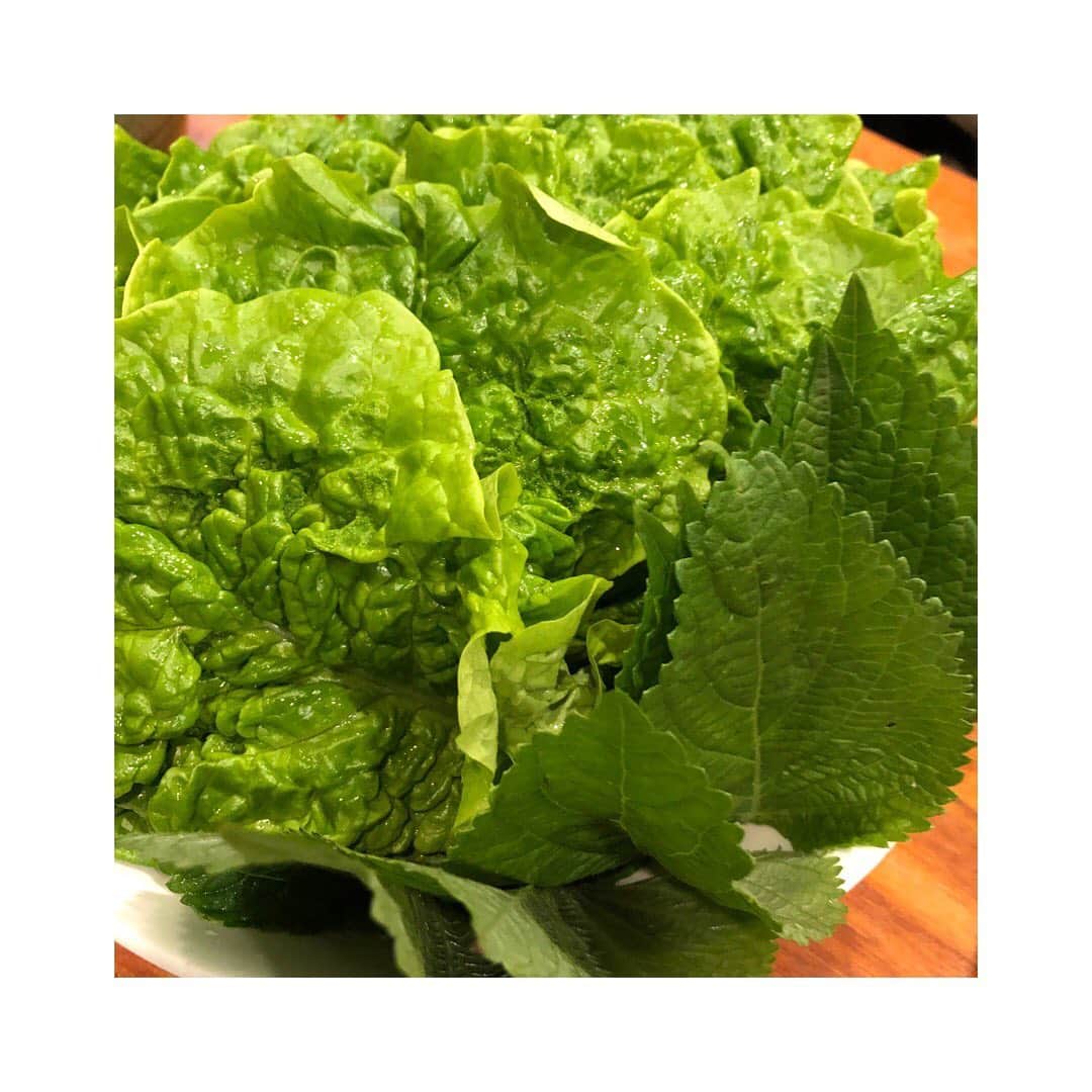 濱田マサルのグルメインスタ