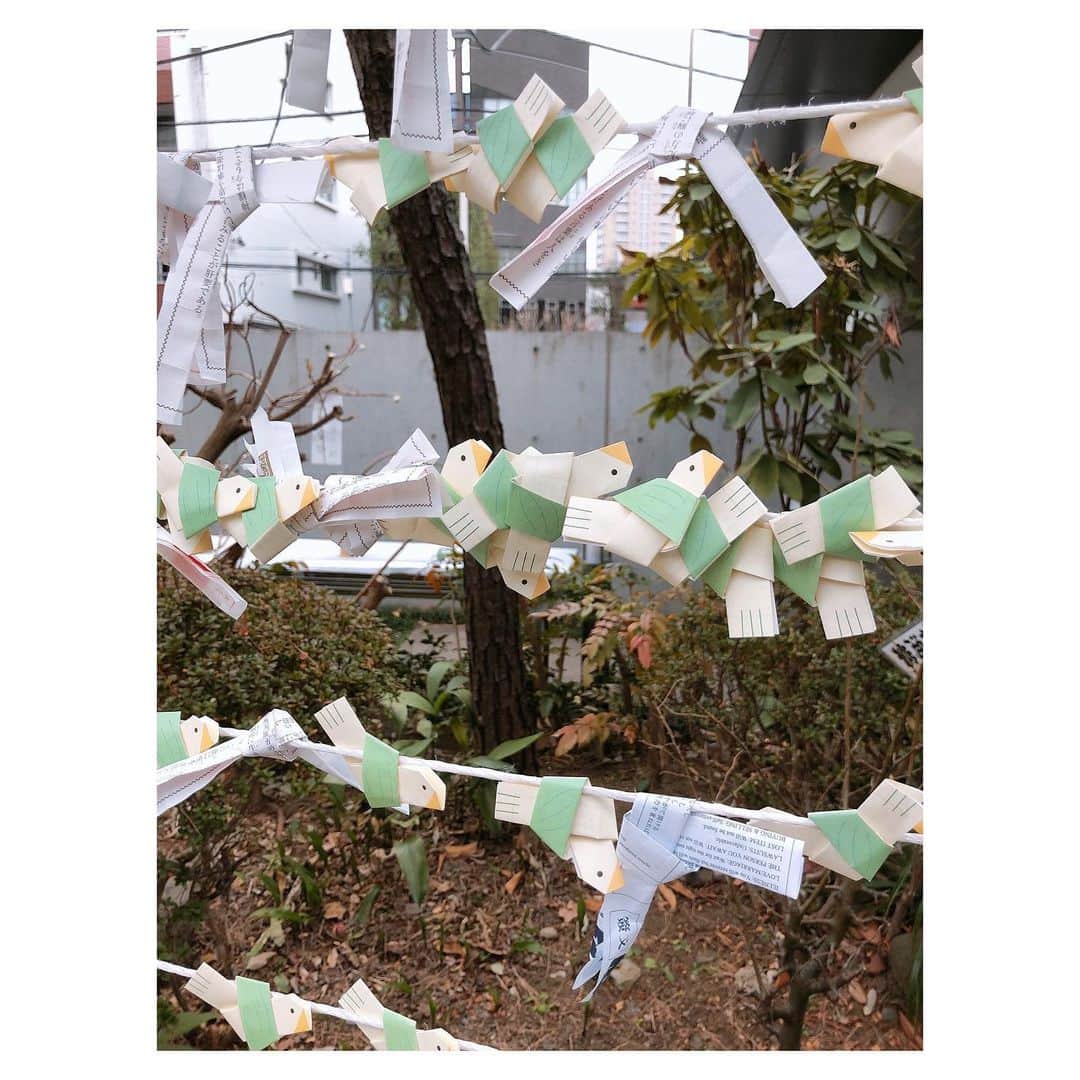 理絵さんのインスタグラム写真 - (理絵Instagram)「鳩森八幡神社🕊  #鳩森八幡神社 #神社 #shrine #⛩ #tokyo #japan」1月23日 19時15分 - ____rie____