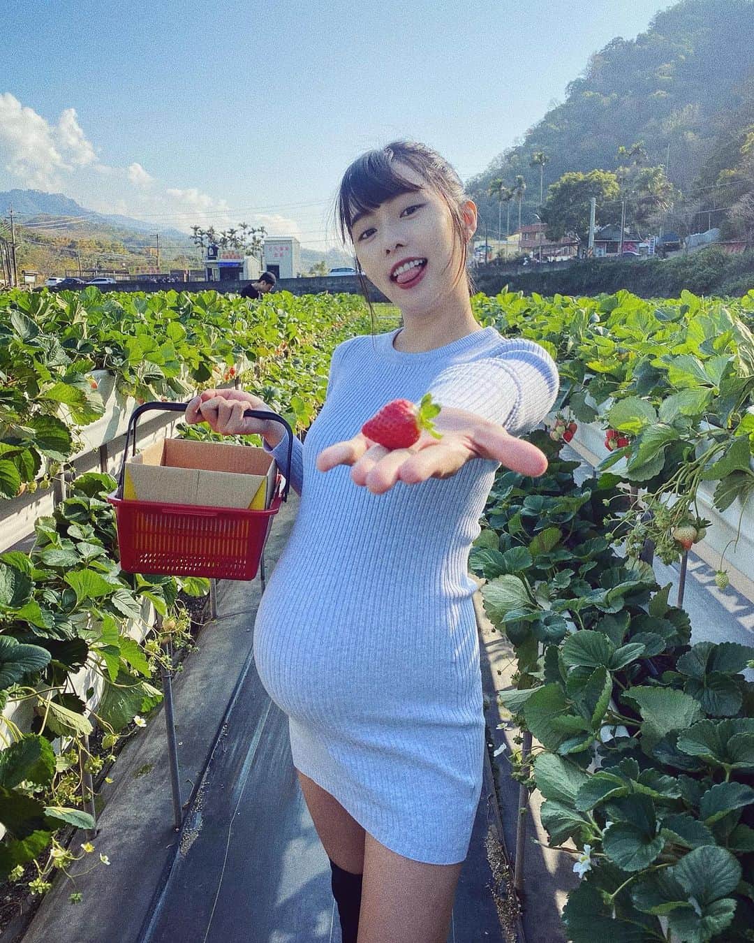 Dewi Chienさんのインスタグラム写真 - (Dewi ChienInstagram)「🍓 我：你看～這草莓很大很美吧！ 友：嗯⋯你的肚子好像比較大😳 - #最喜歡中部了#天氣好棒#回家鄉」1月23日 19時20分 - dewichien