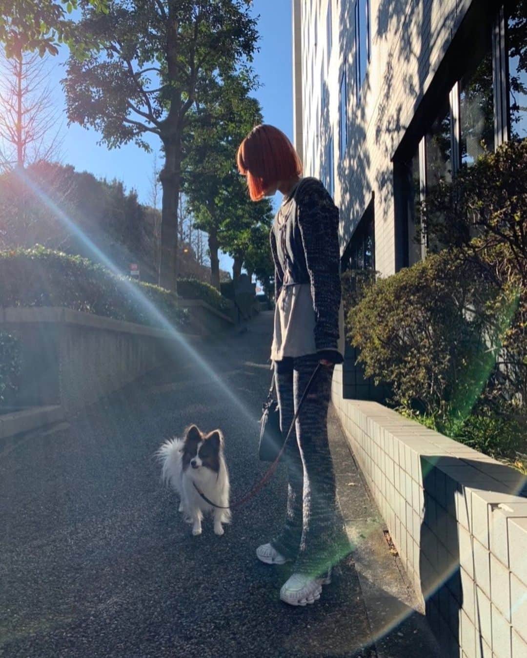 Yukano Nojiriさんのインスタグラム写真 - (Yukano NojiriInstagram)「どうしても坂、のぼりたいこっちゃん🦊 最近お気に入りのコーデ🔥 去年のSSやけど、全然着れなくて今めちゃくちゃブーム来てる🥺 #perverze #散歩コーデ」1月23日 19時50分 - yukano22